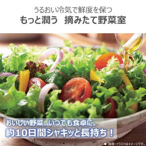 880 大型冷蔵庫 東芝 容量465L ご家庭向け 未使用品 2024製 東芝 冷蔵庫 【標準設置費込み】 465L 5ドア 左開き 冷凍冷蔵庫 GR
