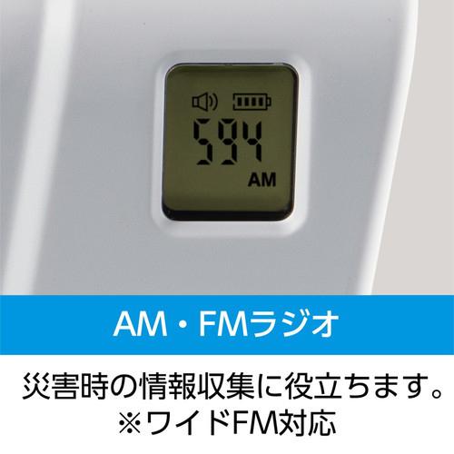 ケンコー Kenko 手回しワンセグTVラジオ KR-013AWFTE 〈KR013AWFTE