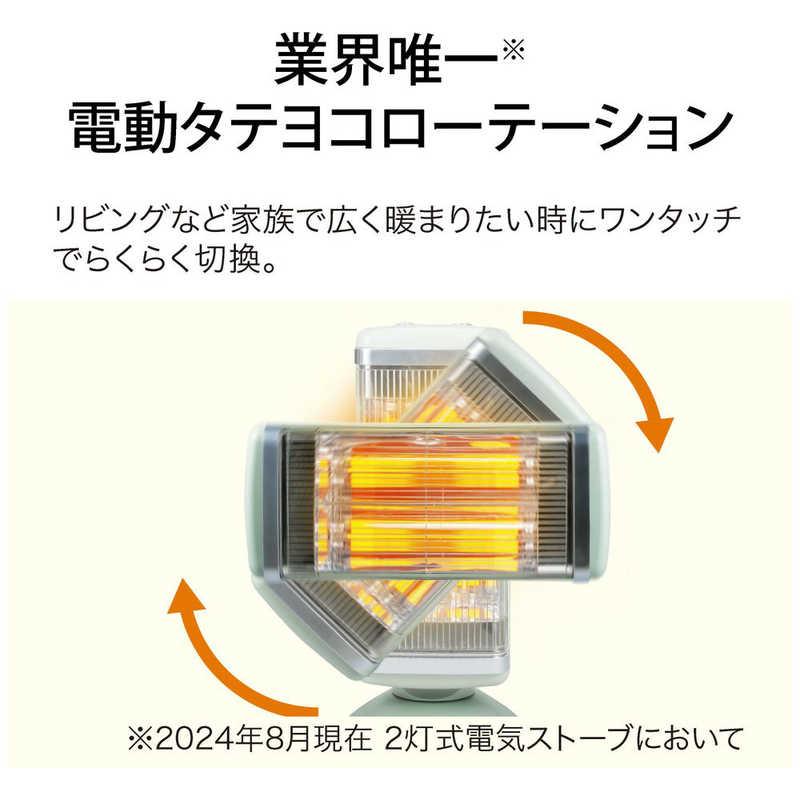 アラジン Aladdin 遠赤グラファイトヒーター 1000W 首振り機能