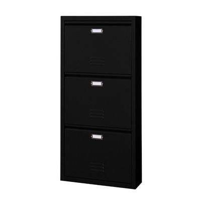東谷 - （AZUMAYA） RALD シューズ仕合わせ 3Ｄ TPN-33BK 玄関家具-家具、インテリア-下駄箱、シューズボックス
