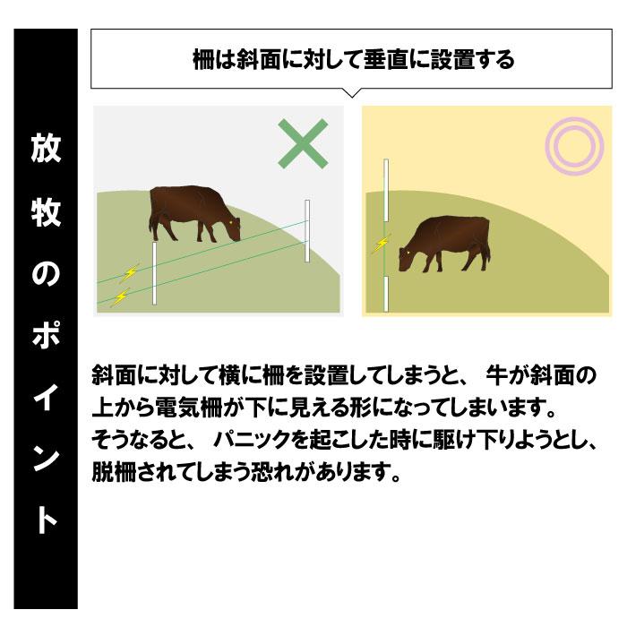 牛 電気柵 【パドック放牧400ソーラー（3段張）】 電気さく セット