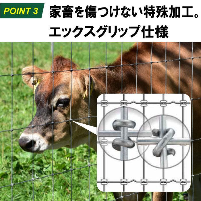 金網 フェンス 牛 和牛 DIY【フィールドフェンスH1550mm（高さ