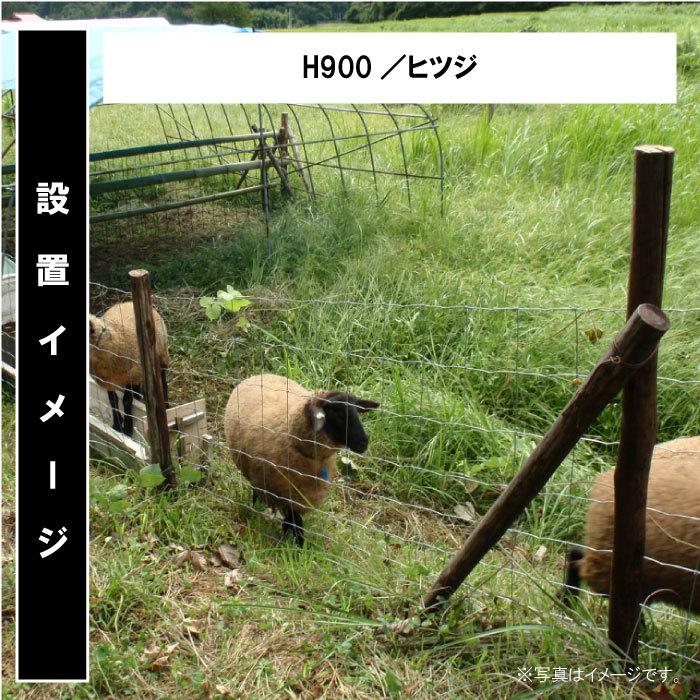 金網 フェンス 牛 和牛 DIY【フィールドフェンスH1550mm（高さ