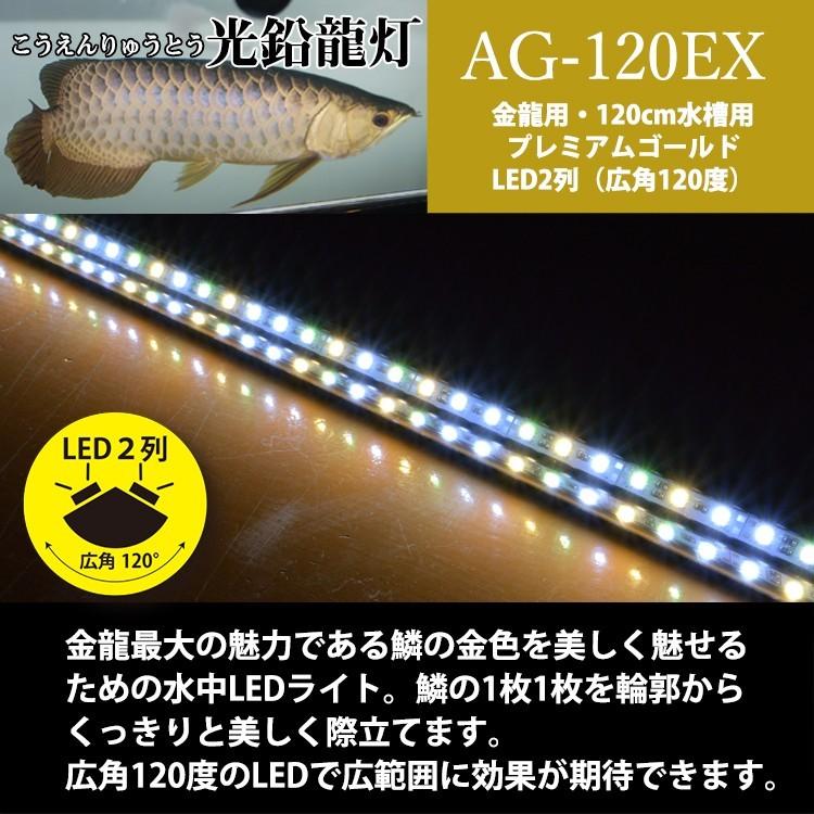 アロワナ ライト 金龍 過背金 120cm水槽用 光鉛龍灯 プレミアムゴールド EX LED 2列 水中 照明 水中蛍光灯 AG120-EX AG-EX 送料無料 でんらい｜denraiasia｜02