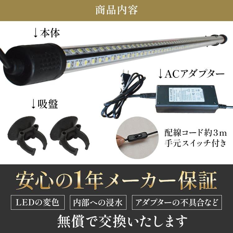 過背金龍 藍底金龍 アロワナライト 水槽ライト 熱帯魚ライト テンニングライト LED 水中照明 水中ライト 金龍 アジアアロワナ ゴールド arowana でんらいの画像