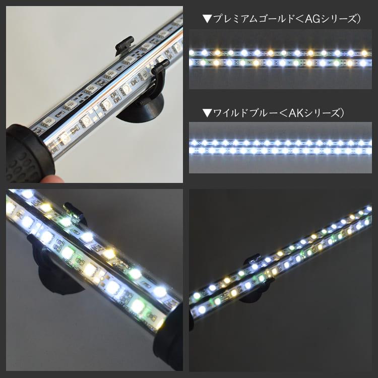 あろん様　ライト5リットル 1個 藍底金龍 過背金龍 アロワナライト 熱帯魚ライト 水槽ライト