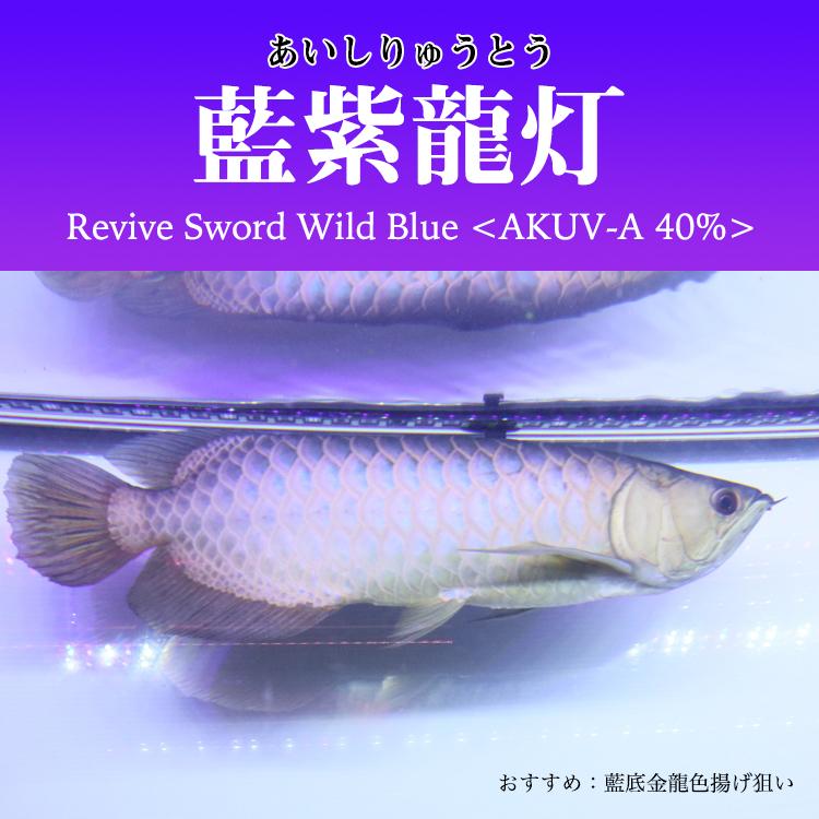 アロワナ ライト 金龍 過背金 120cm水槽用 藍紫龍灯 ワイルドブルー UV 40% EX LED 2列 水中 照明 水中蛍光灯 AK-120UV-EX ak-uv-ex でんらい｜denraiasia｜05