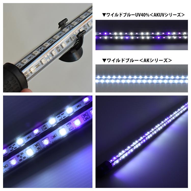 アロワナ ライト 金龍 過背金 180cm水槽用 藍紫龍灯 ワイルドブルー UV 40% EX LED 2列 水中 照明 水中蛍光灯 AK-180UV-EX AK-UV-EX でんらい｜denraiasia｜03