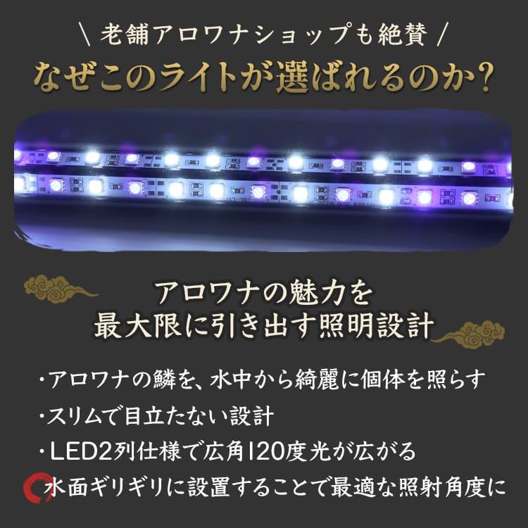 過背金龍 藍底金龍 アロワナライト 水槽ライト テンニングライト LED