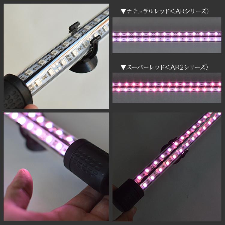 紅龍 水中 スーパーレッド アロワナ ライト LED 水中照明 レッド