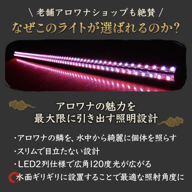 リスター水中ライト　30w  アロワナ色上げテンニングライトセット 紅龍専用 ー92cmマジックライト アロワナライト テンニングライト