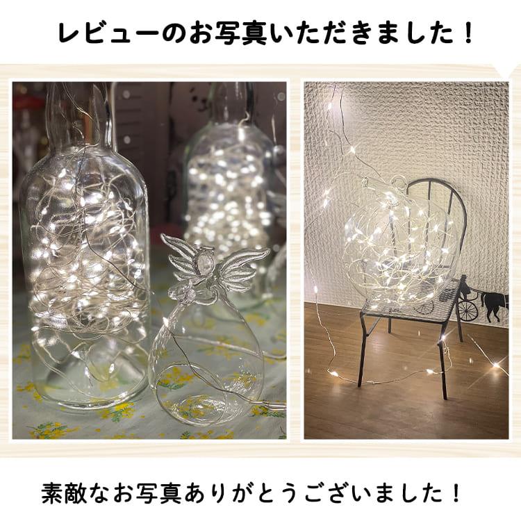 ジュエリーライト ガラス付き リンゴ 天使 雫 USB 10m 100球