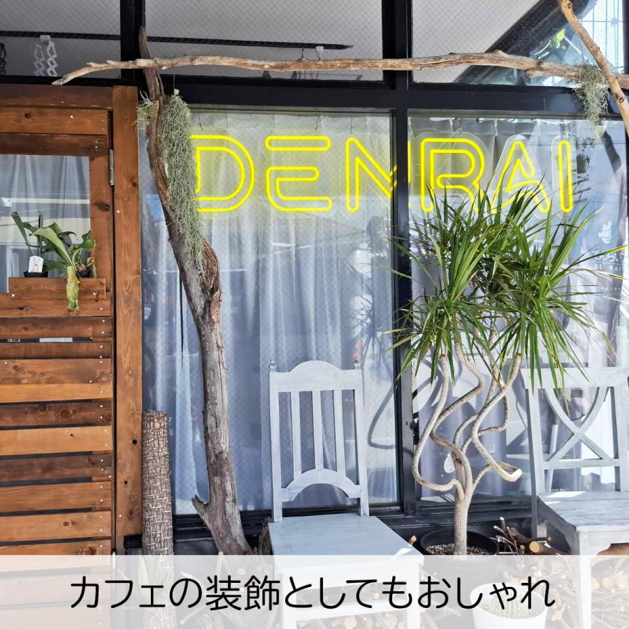 ネオンサイン LED ネオン管 文字 装飾 広告 店舗用 おしゃれ ネオン風