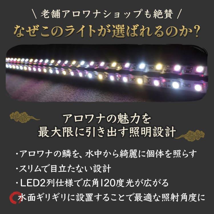 過背金龍 アロワナライト 水槽ライト 藍底金龍 熱帯魚ライト LED 水中