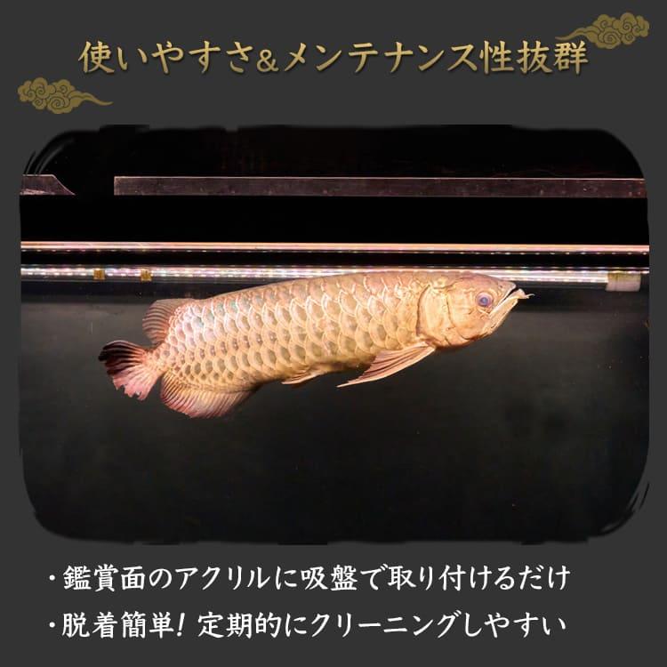熱帯魚、金魚、アロワナ、色々使える1800㌢水中LEDライト 水槽ライト 熱帯魚ライト 過背金龍 藍底金龍 アロワナライト テン