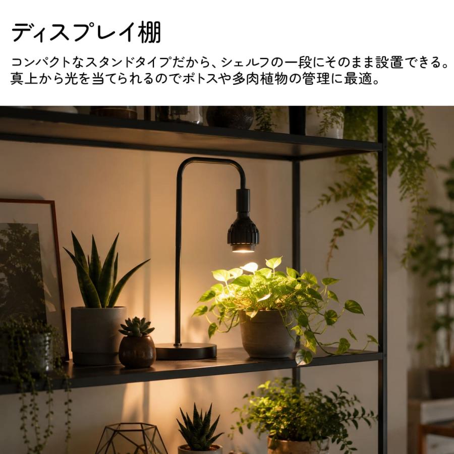 植物育成ライト スタンド 植物ライト 明るい 日照不足 ライト 光合成