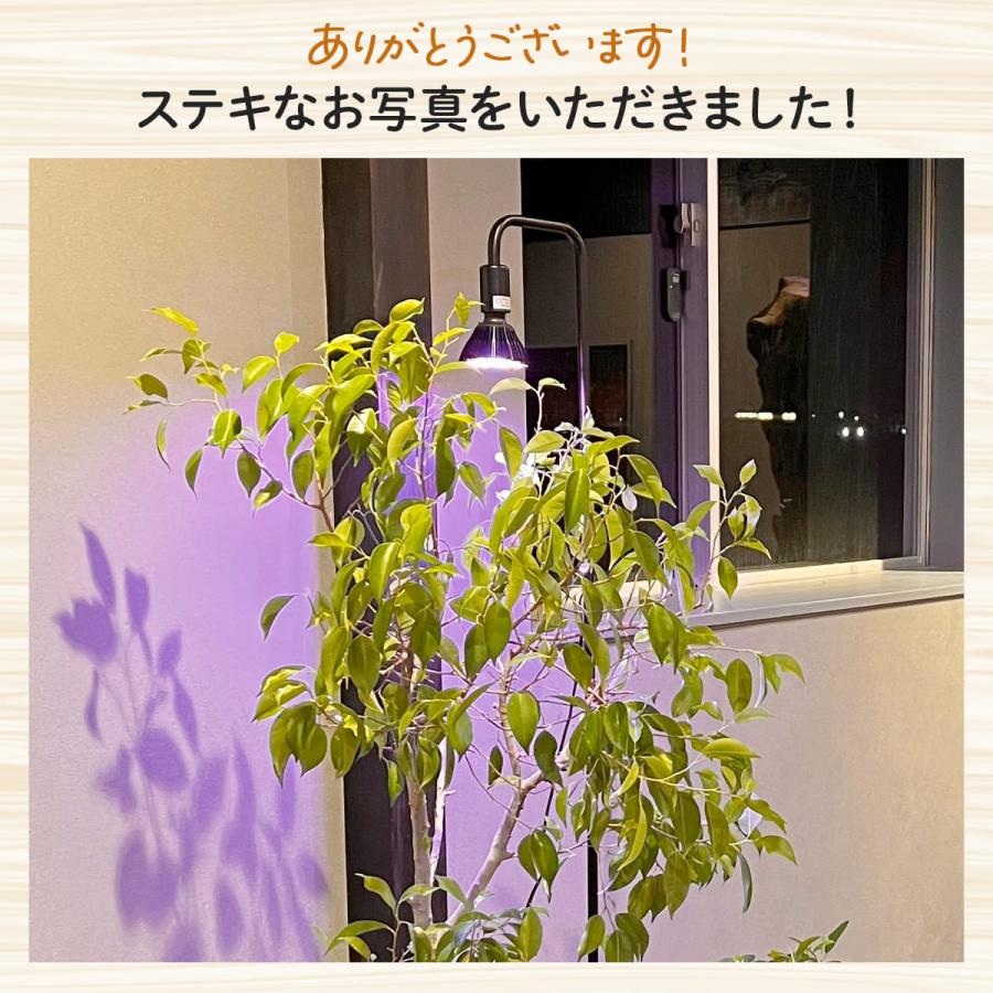 植物育成ライト スタンド 植物ライト 明るい 日照不足 ライト 光合成