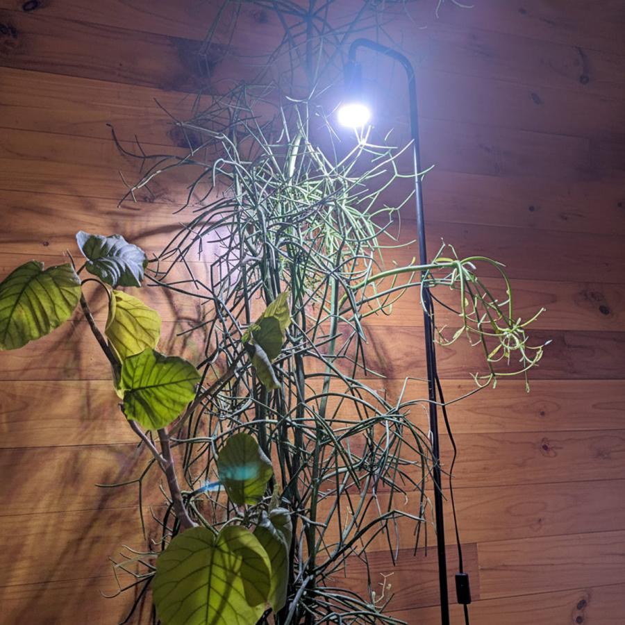 植物育成ライト スタンド 植物ライト 明るい 日照不足 ライト 光合成
