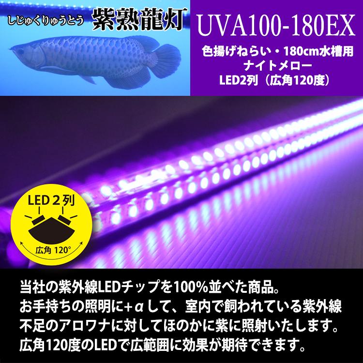 アロワナ ライト 紫外線100％ 紅龍 金龍 180cm水槽用 紫熟龍灯 ナイトメロー EX LED 2列 水中 照明 水中蛍光灯 UV100-A-180EX でんらい｜denraiasia｜03