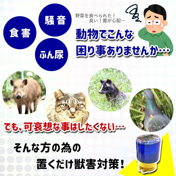 4個セット 獣害 対策 ソーラー Led 自動点灯 猪 野生動物 猫 犬 ネズミ 害獣 害鳥 被害 防獣 鳥害 忌避 糞 尿 防犯 太陽光 畑 農業 ソーラー式 Z011 4 Z011 でんらい 通販 Yahoo ショッピング