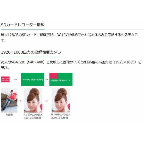 ビデオセンシング【 VSC-HD2200 】SDレコーダー一体型カメラ