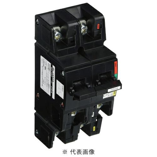 日東工業 DS102 2P 100A 切替開閉器 手動 : 電材BLUEWOOD ヤフー店