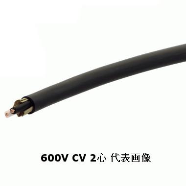 矢崎エナジーシステム 600V CV 22sq 2芯 やわらか電線 600V耐圧 矢崎エナジーシステム 600V CV 22sq 2芯 やわらか電線 600V耐圧