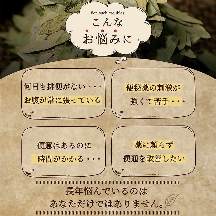 腸巡り サプリ 【初回限定 65%OFF（120粒）】 便通 改善 便秘 解消 お