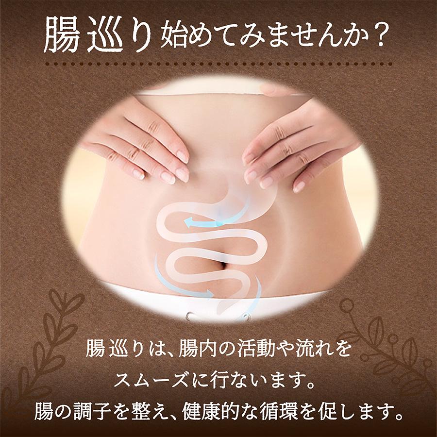 腸巡り サプリ 【初回限定 65%OFF（120粒）】 便通 改善 便秘 解消 お