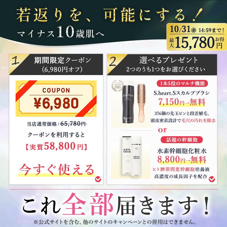 最終値下げプラズマエアシャワー　DENSHINDO 最終値下げプラズマエアシャワー DENSHINDO DENSHINDO