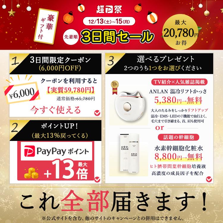 公式！☆6,000円OFF+豪華ギフト 最大20,780円お得！】DENSHINDO