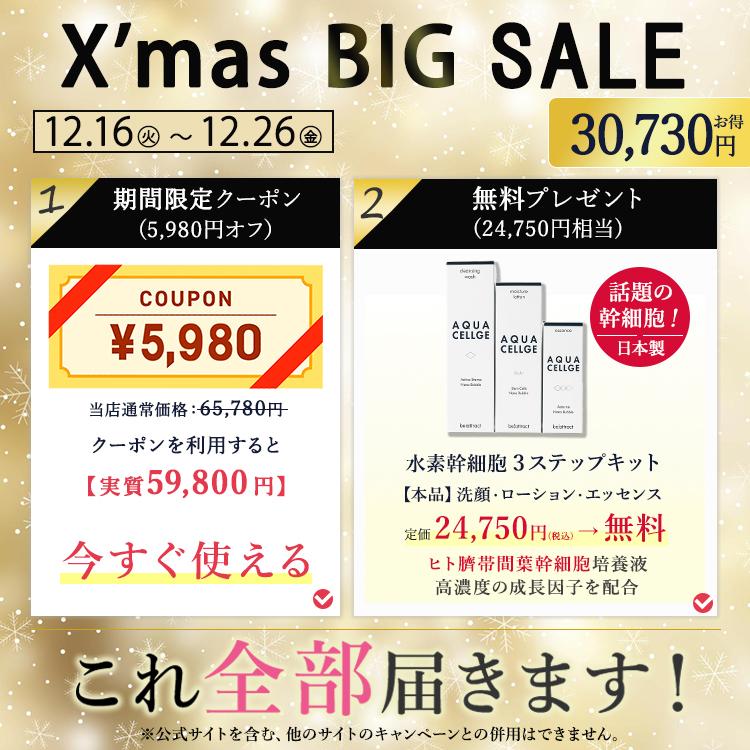 プラズマシャワー　家庭用　プラズマニードル プラズマシャワー家庭用プラズマニードル