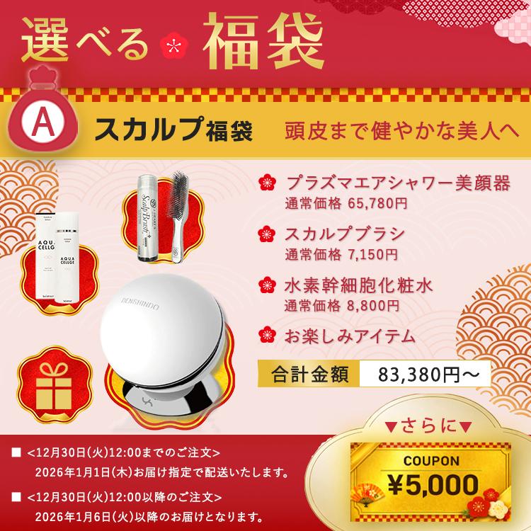 公式！福袋2026 総額8万円超! 1/4まで ☆5,000円OFF】DENSHINDO