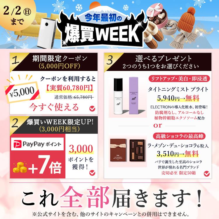 公式！爆買限定2/1まで 5,000円OFF+P7倍+ギフト】DENSHINDO プラズマ