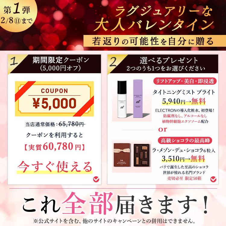 公式！2/8まで 5,000円OFF+ギフト】DENSHINDO プラズマ エアシャワー
