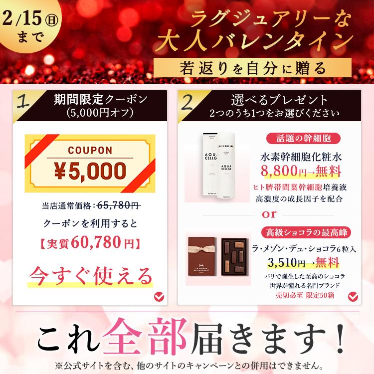 公式！2/15まで 5,000円OFF+ギフト】DENSHINDO プラズマ エアシャワー