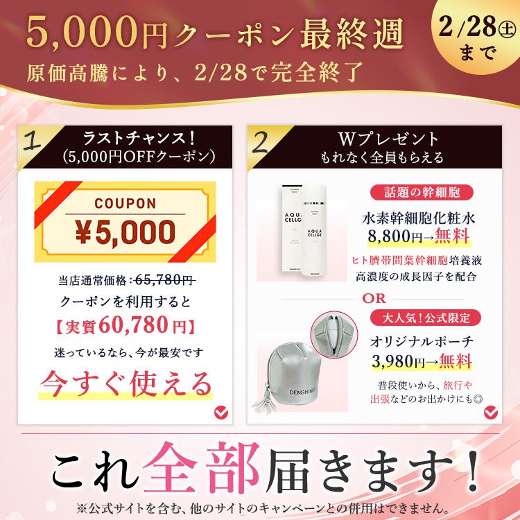 公式！公式限定☆5,000円OFFクーポン+ギフト】DENSHINDO プラズマ エア