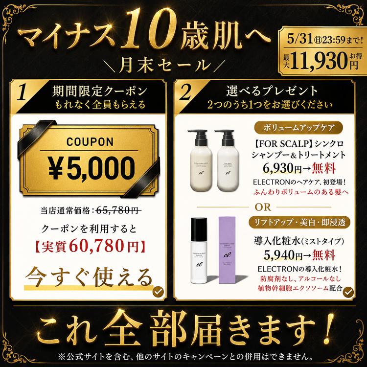 公式 ＼月末SALE☆11,930円お得／5,000円OFF+ギフト】DENSHINDO