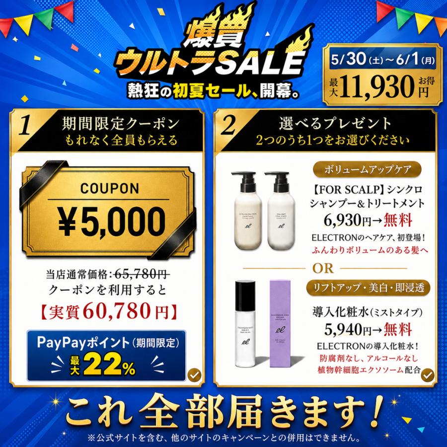 公式 ＼爆買ウルトラ☆11,930円お得／5,000円OFF+ギフト】DENSHINDO