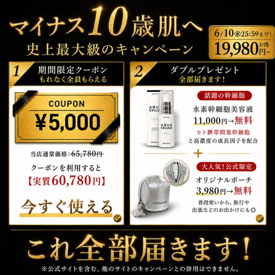 公式 ＼スーパーSALE☆19,980円お得／5,000円OFF+ギフト】DENSHINDO