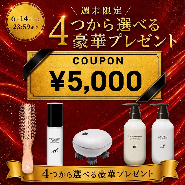 公式 ＼週末限定☆最大12,150円お得／5,000円OFF+ギフト】DENSHINDO