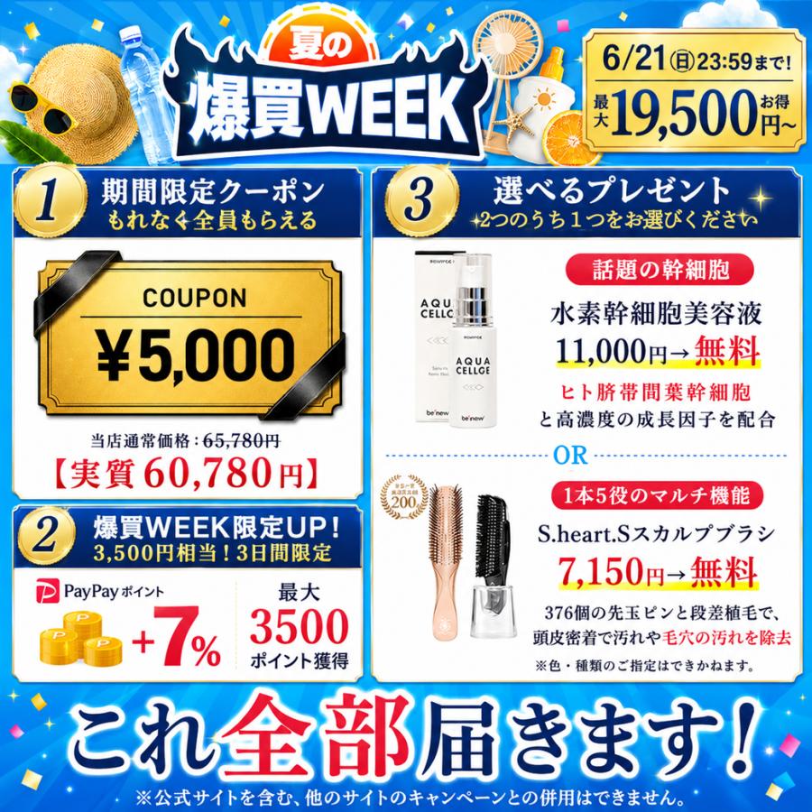 公式＼爆買限定6/21まで! 最大19,500円お得／5,000円OFF】DENSHINDO