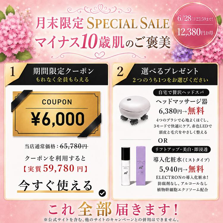 公式】＼月末セール！6,000円OFF! 最大12,380円~お得／DENSHINDO 2026