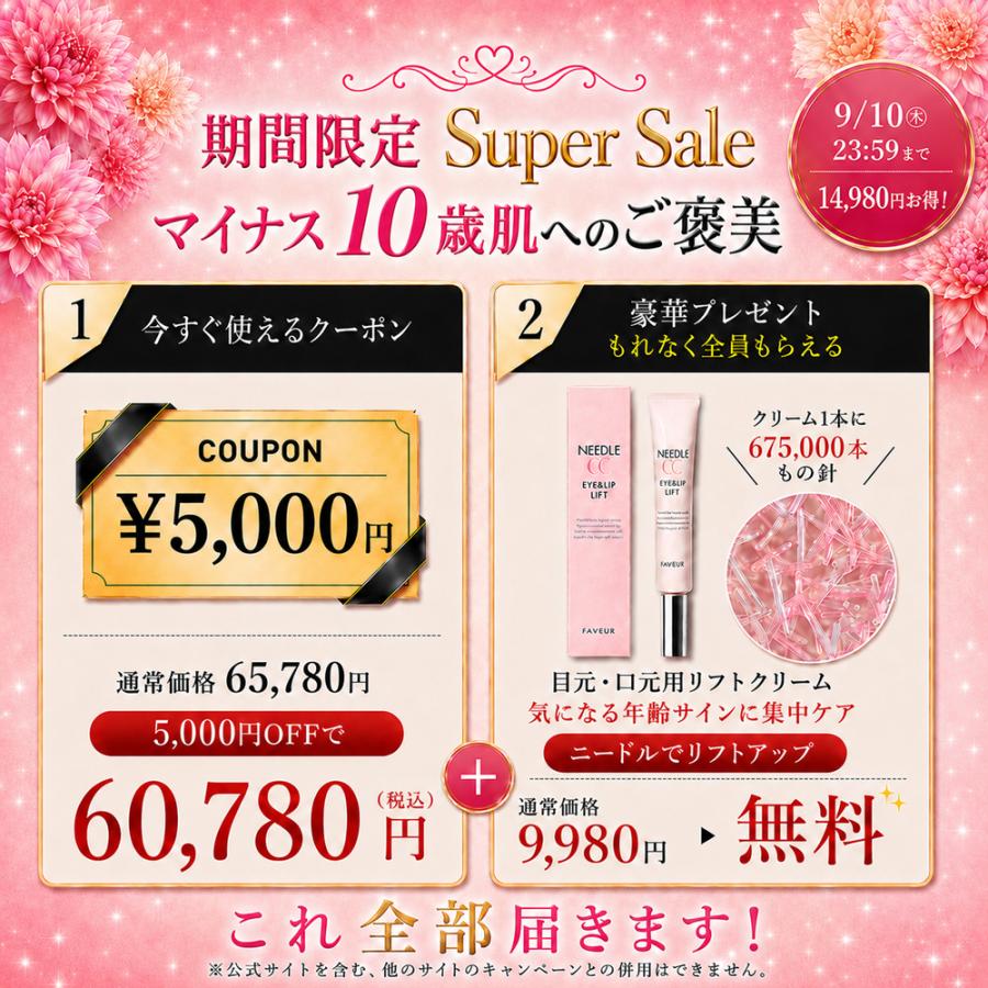 公式】☆本日終了！14,980円~お得！☆ 5,000円OFF+ギフト DENSHINDO