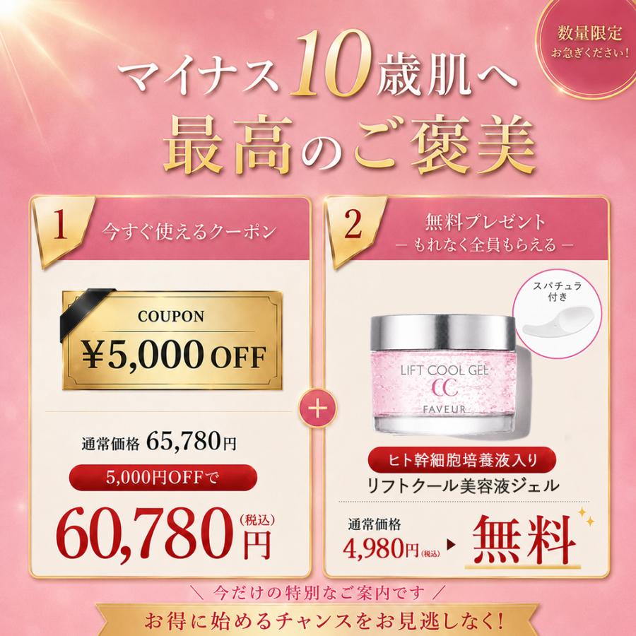 公式】☆9,980円~お得！☆ 5,000円OFF+ギフト DENSHINDO 2026最新