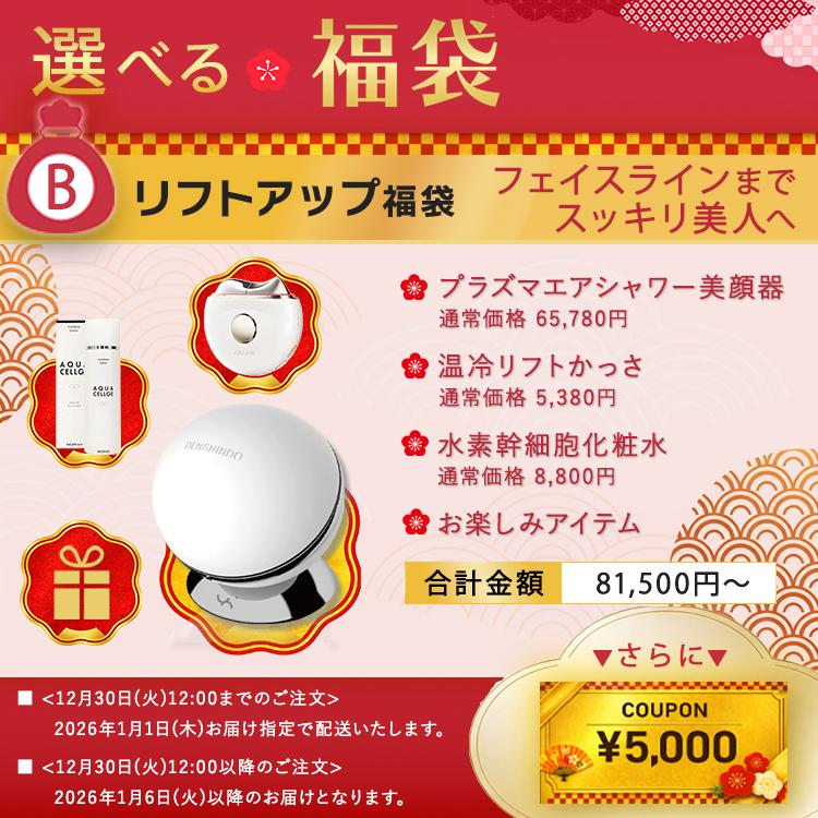 ⭐︎美品⭐︎ プラズマシャワー 美顔器 ハイフ リブセラ 小顔 毛穴 リフトアップ ⭐︎美品⭐︎ プラズマシャワー 美顔器 ハイフ リブセラ 小顔 毛穴