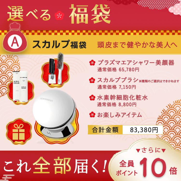 公式！福袋2026 ☆P10倍~ 総額8万以上〜】DENSHINDO プラズマ エア