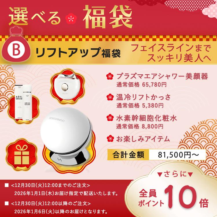 公式！福袋2026 ☆P10倍~ 総額8万以上〜】DENSHINDO プラズマ エア