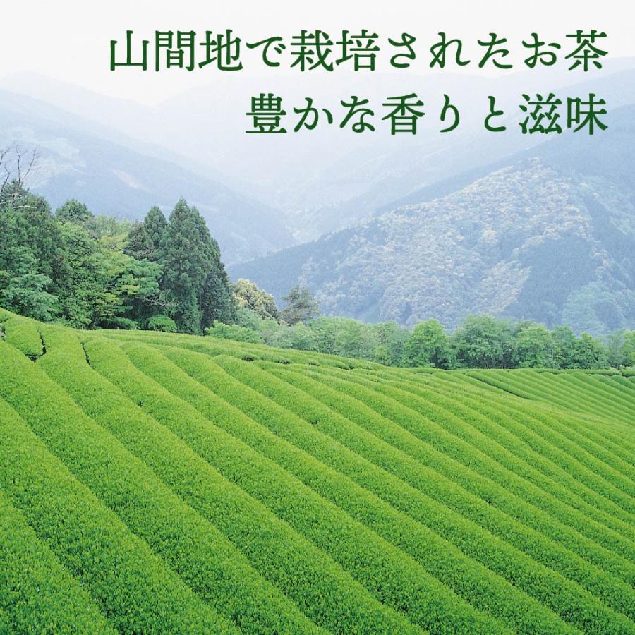 ほうじ茶ピラミッドティーバッグ100個入×3袋セット／日本茶 緑茶 ほうじ茶 ティーバッグ ティーパック 大容量 個包装 カップ用 テトラ |  | 08