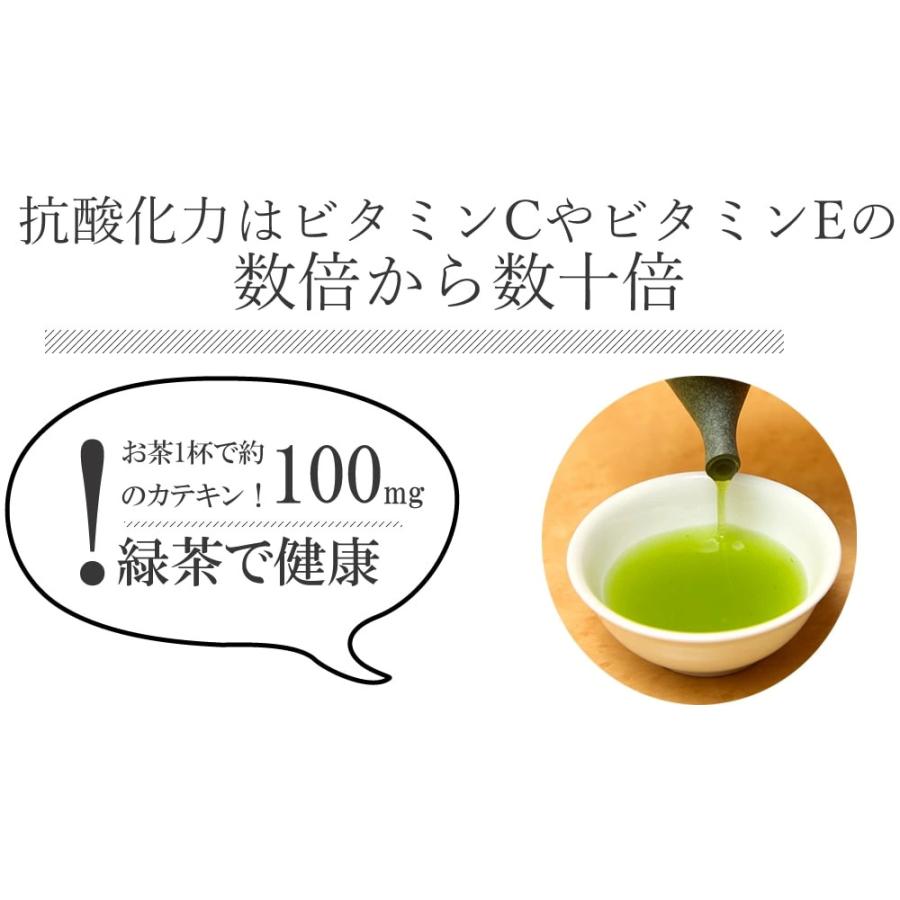 緑傳 煎茶 100g／日本茶 静岡茶 煎茶 茶葉 リーフティー |  | 09